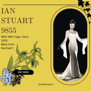 Ian Stuart 9855 Wedding Dress Size 12 (Circa 2002) NWT / Never Worn